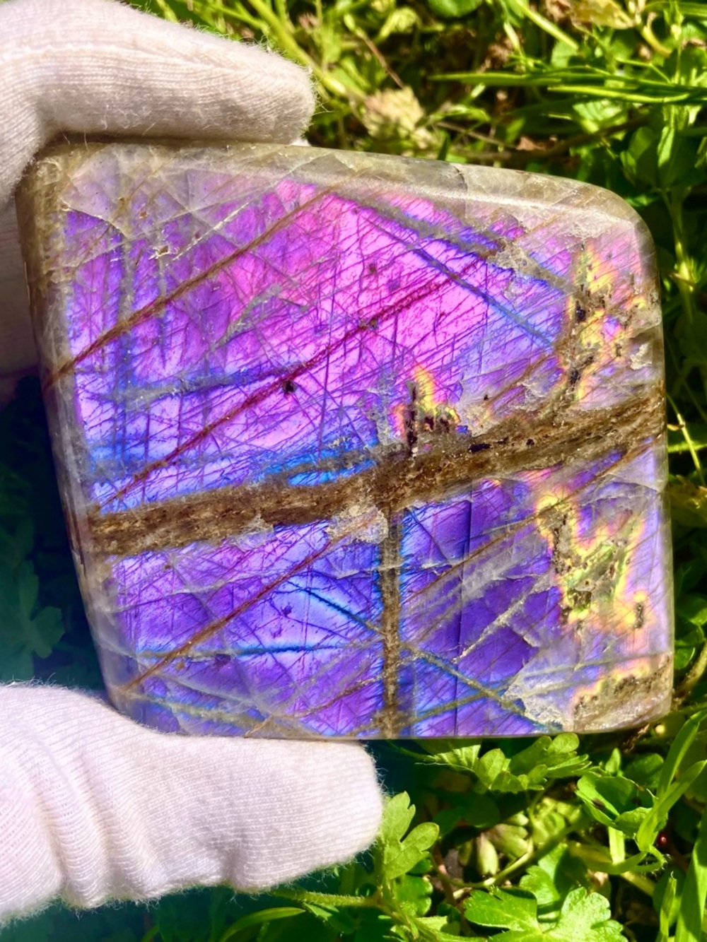 Rare High Grade Purple Labradorite High Flash/Freeform/Bright Pink/Blue/ Yellow
